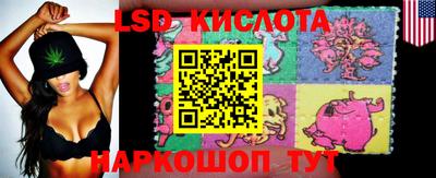 стафф Гусев
