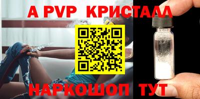 стафф Гусев