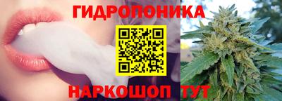 стафф Гусев