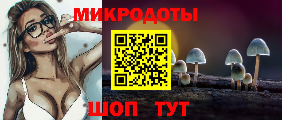 Комсомольск-на-Амуре  Псилоцибиновые грибы прущие грибы  Вход с VPN  Галлюциногенные грибы Psilocybine cubensis 